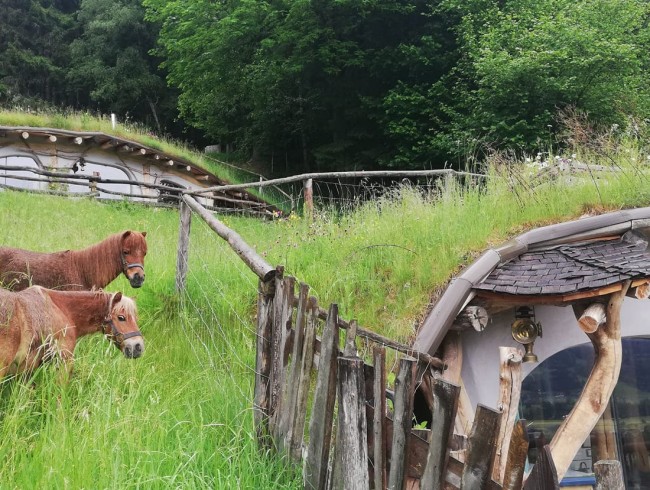 Ponys und Pferde rund ums Hobbythaus